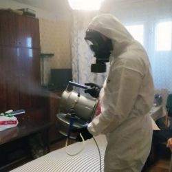Дезинфекция от клопов в Моздоке
