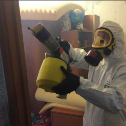 Уничтожение клопов в квартире. Моздок